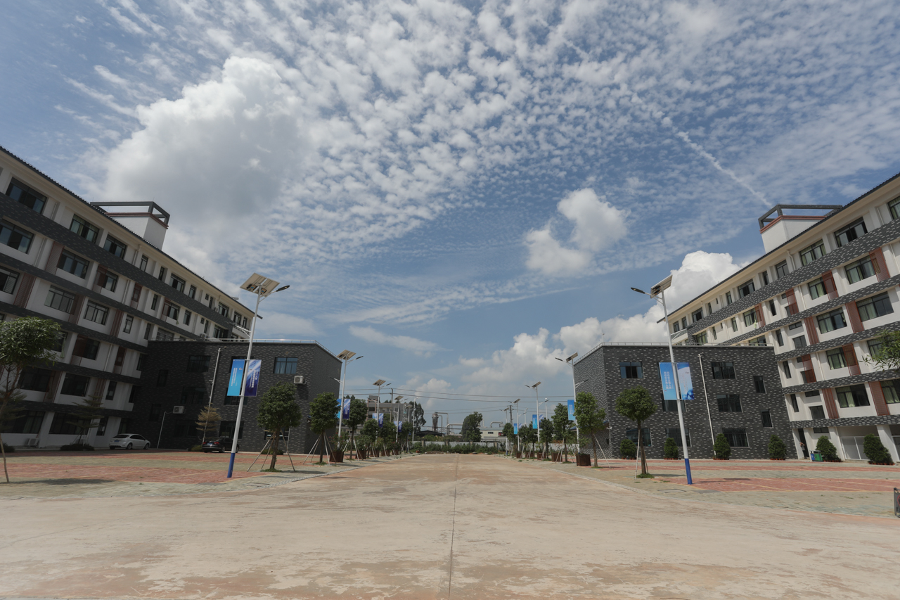 003-1广西商贸高级技工学校明阳校区教学楼间路灯道旗.jpg